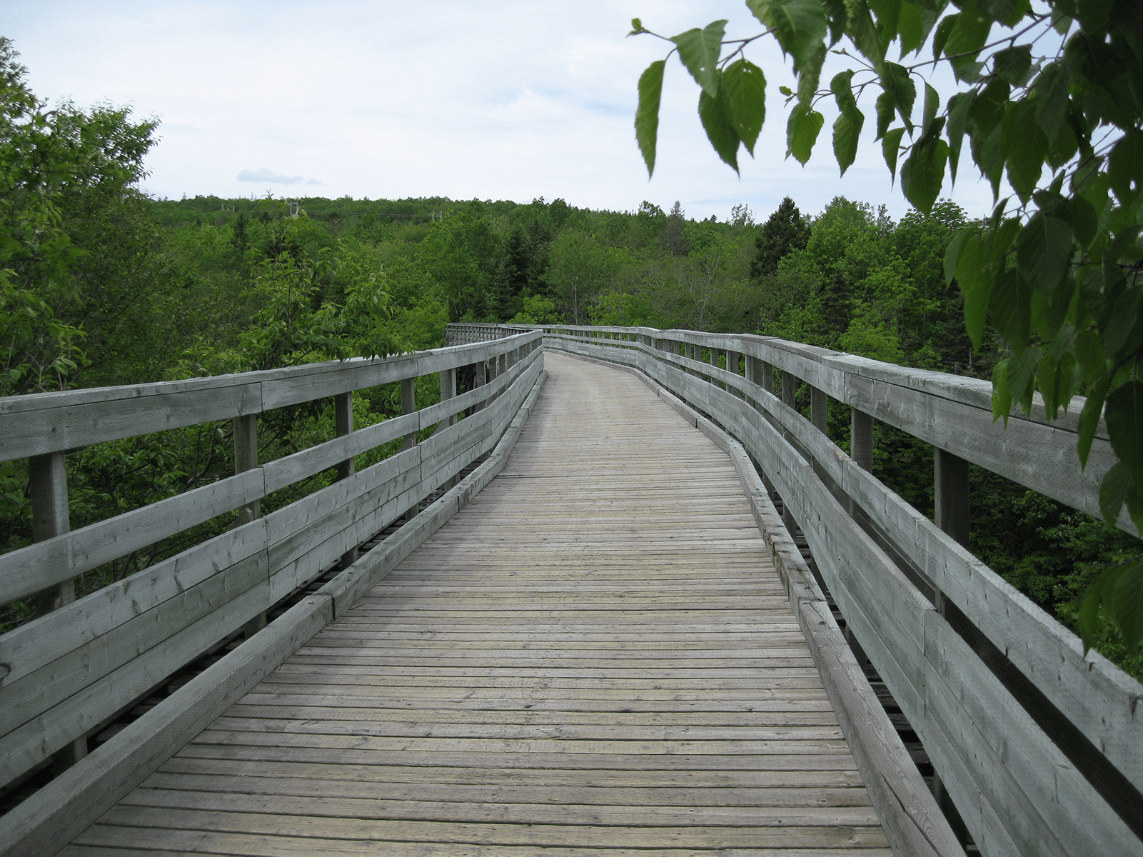 wooden boardwalk bridge located in Gold River, Nova Scotia