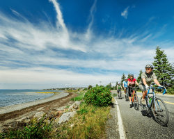 four cyclists on a road looking at a beach to their right on a sunny day